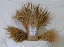 Farine de petit épeautre