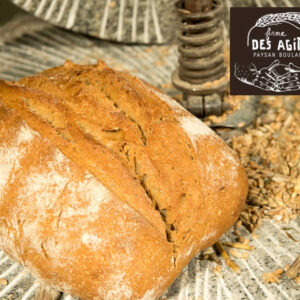 pain de campagne bio