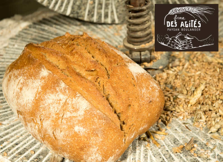 pain de campagne bio