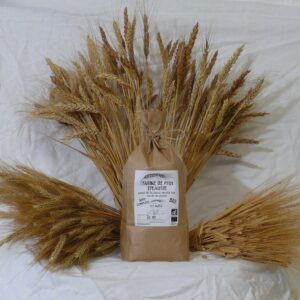 farine petit epeautre bio